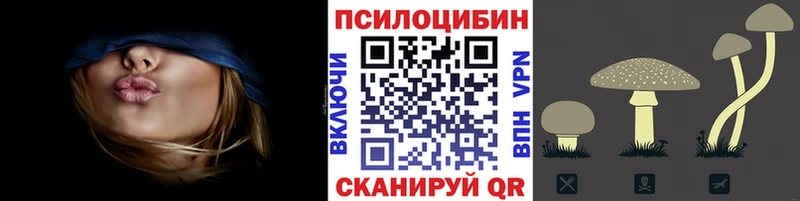 хочу наркоту  кракен как зайти  Псилоцибиновые грибы MAGIC MUSHROOMS  Данилов 